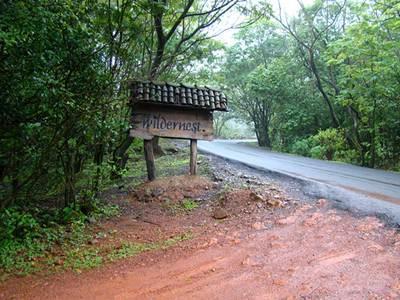 Wildernest Nature Resort Chorla Ngoại thất bức ảnh